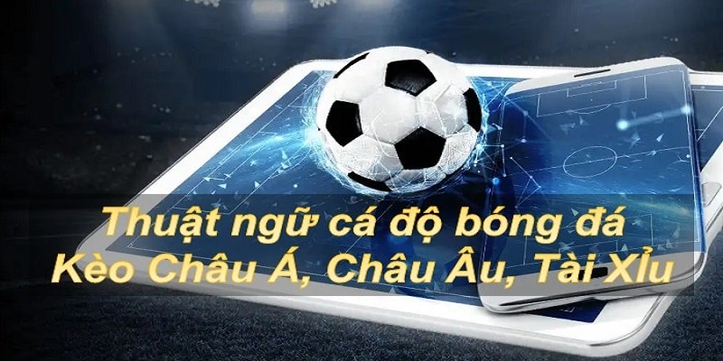 thuật ngữ kèo bóng tại kubet